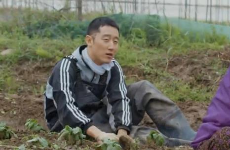 韓国人俳優